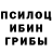 Псилоцибиновые грибы мухоморы MJ Watson