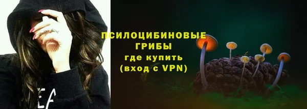 шишки Алзамай