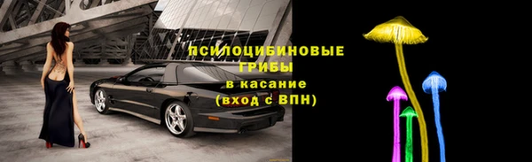 ГАЛЛЮЦИНОГЕННЫЕ ГРИБЫ Алексеевка