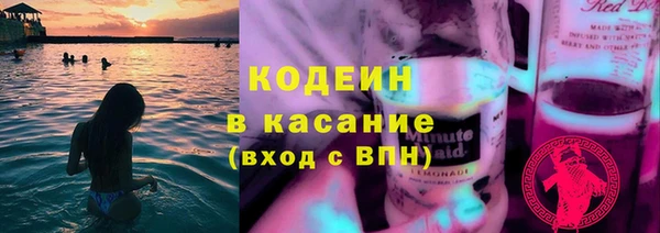 шишки Алзамай